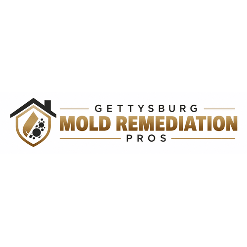 Gettysburg Mold Remediation Pros